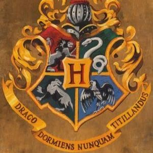 Meet your Posher, Ephraim